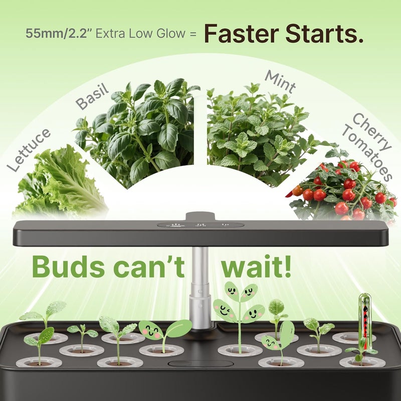 SUNCOZE Hydroponics Growing System Kit 12 Pods, 24W LED Grow Light Indoor Garden, 4L Water Tank with Quiet Pump, Adjustable Height Herb Garden Planter Indoor Kit, Gardening Gifts, Black - Image 5